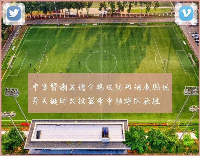 申京赞谢泼德今晚攻防两端表现优异关键时刻投篮命中助球队获胜