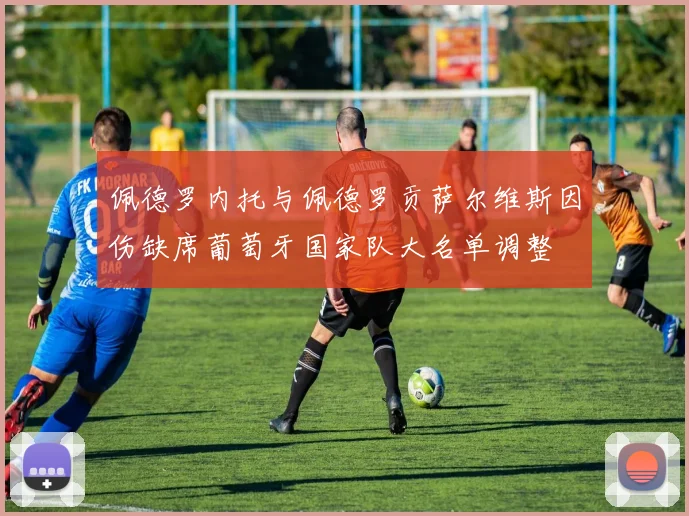 佩德罗内托与佩德罗贡萨尔维斯因伤缺席葡萄牙国家队大名单调整