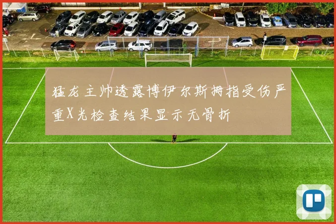 猛龙主帅透露博伊尔斯拇指受伤严重X光检查结果显示无骨折