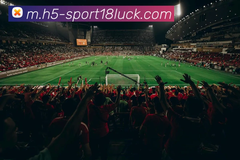 18新利体育APP 封面图